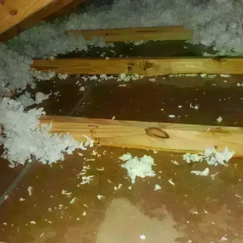 Best Attic Water Damage Service in Saint Louis County, MN