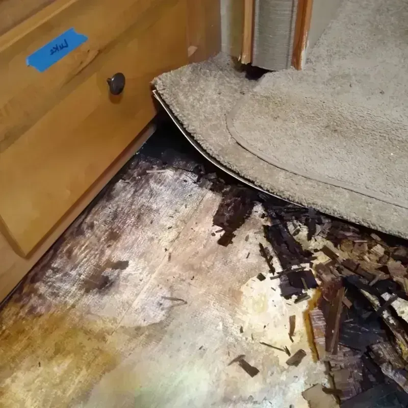 Wood Floor Water Damage in Saint Louis County, MN